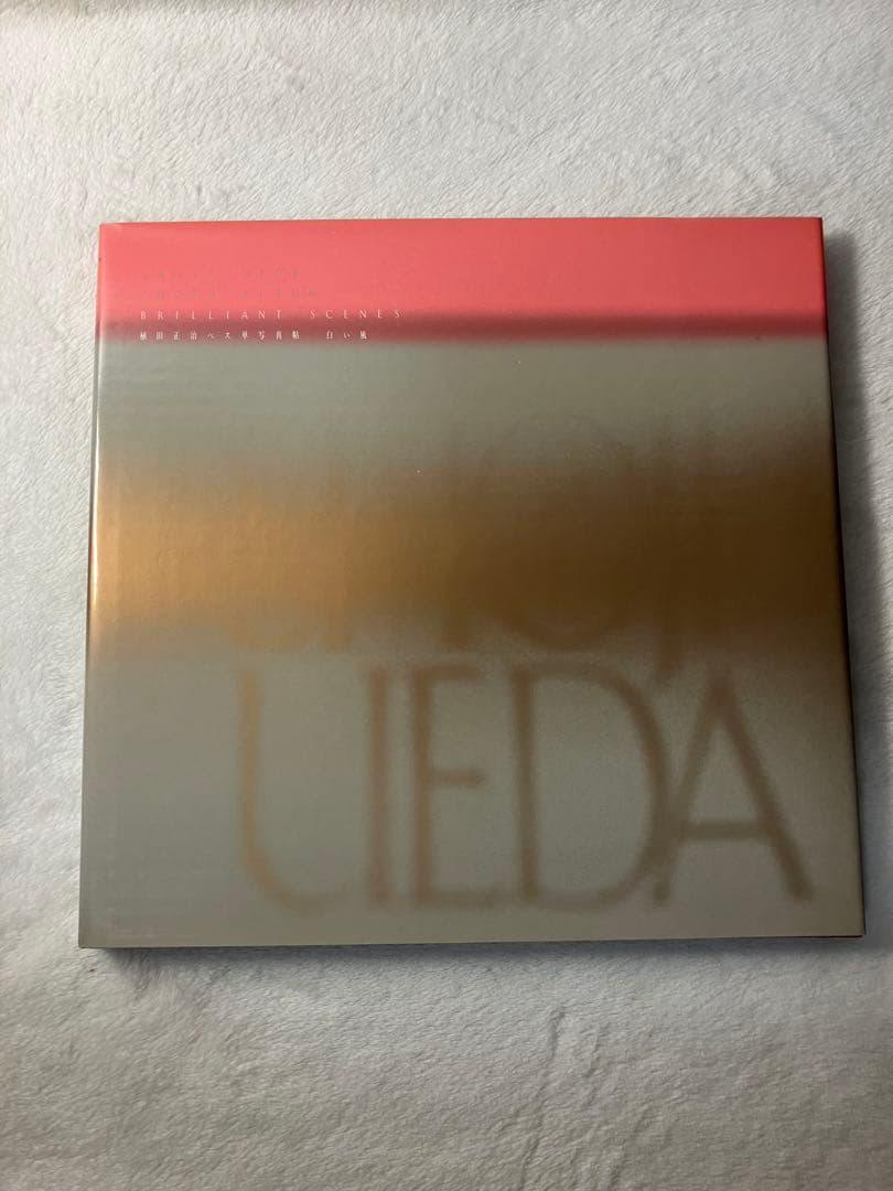 写真集 植田正治 ベス単写真帖 白い風