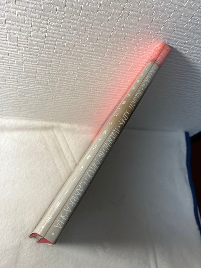 写真集 植田正治 ベス単写真帖 白い風