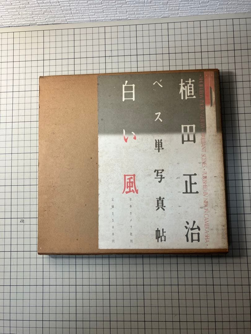 写真集 植田正治 ベス単写真帖 白い風