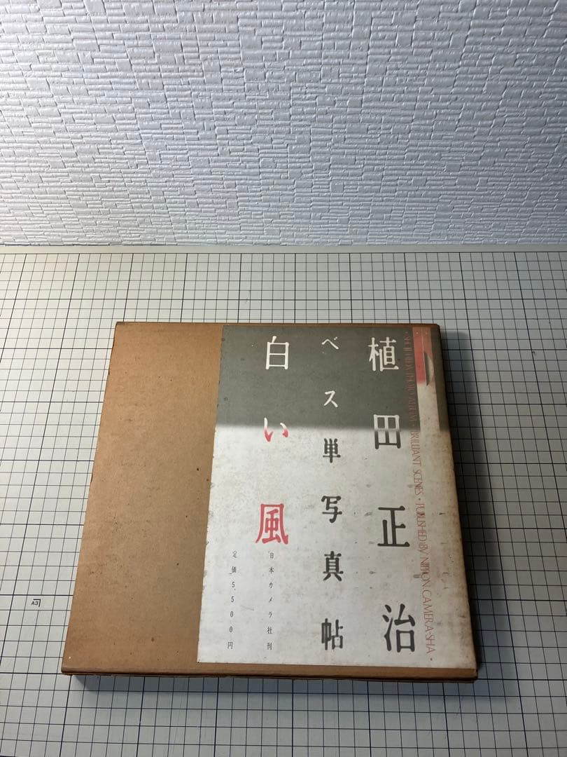 写真集 植田正治 ベス単写真帖 白い風