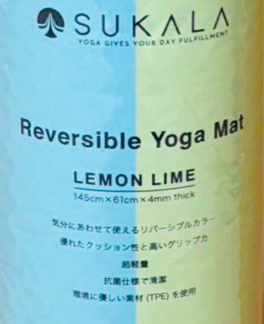 LAVA リバーシブルヨガマット　ヨガマットカバー　エッセンシャルバーム