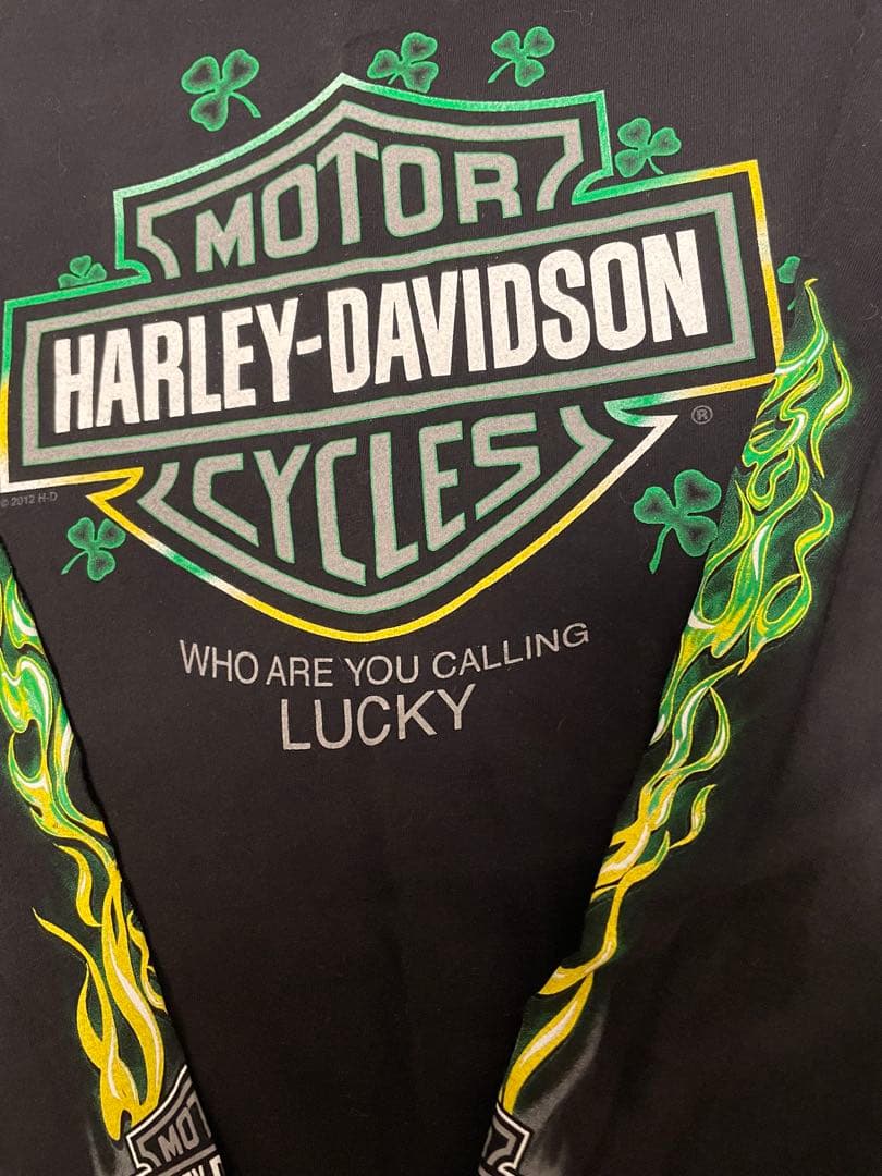 『入手困難』ハーレーダビッドソン グリーンフレイム ヴィンテージロンT 古着