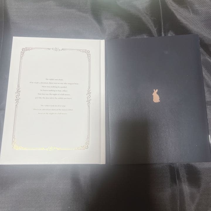 ムンフェス 円盤