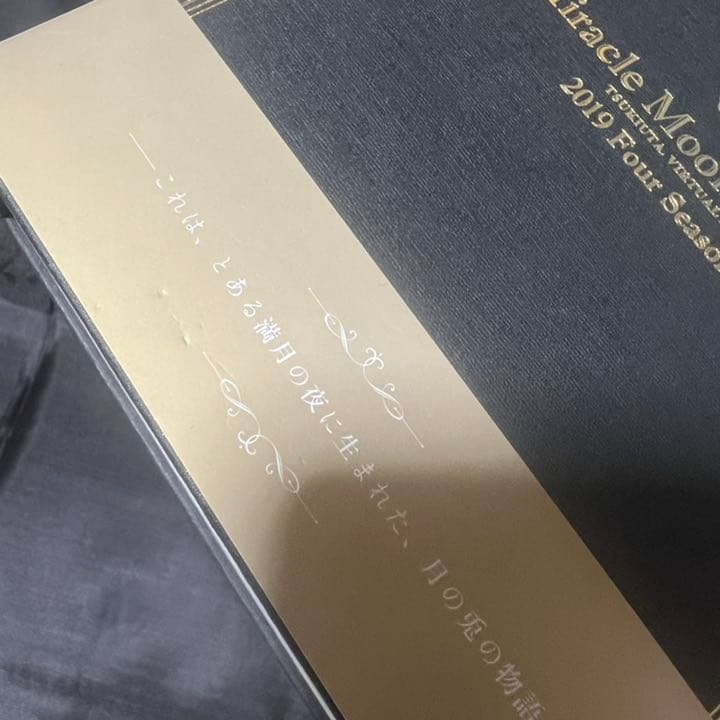 ムンフェス 円盤