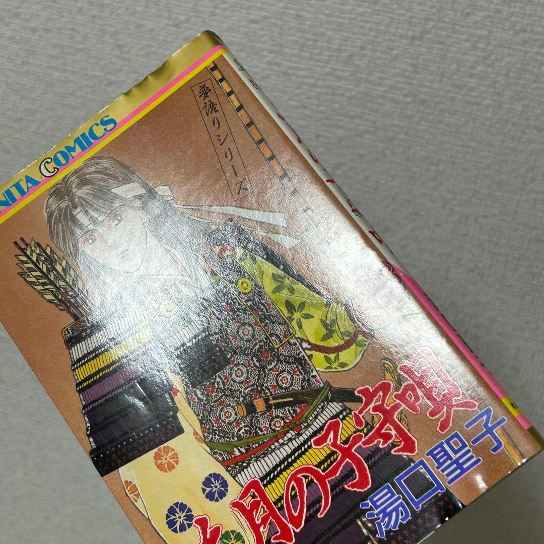 夢語りシリーズ　明日菜の恋歌　風の墓標　2.3.4.5巻　10冊セット　湯口聖子