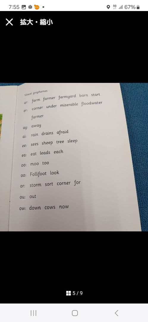 英語絵本　66冊