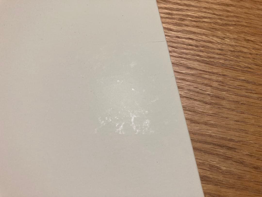 スピッツ　一期一会　レコード　アナログ盤　LP盤　レア物