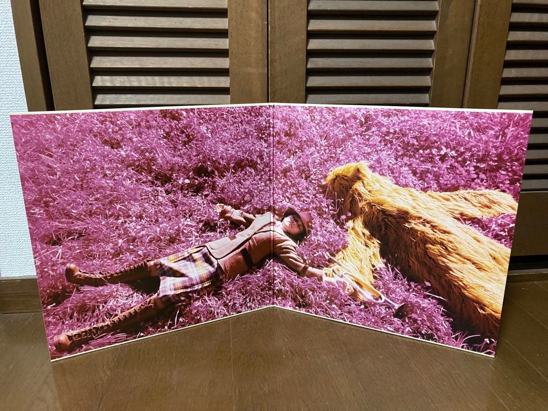 スピッツ　一期一会　レコード　アナログ盤　LP盤　レア物