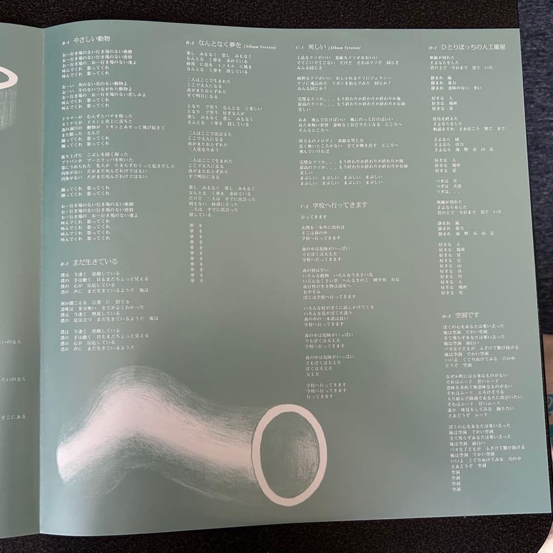 ゆらゆら帝国/空洞です レコードLP