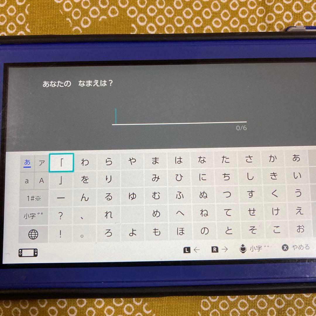 動作確認　ポケットモンスター ソード & アルセウス セット