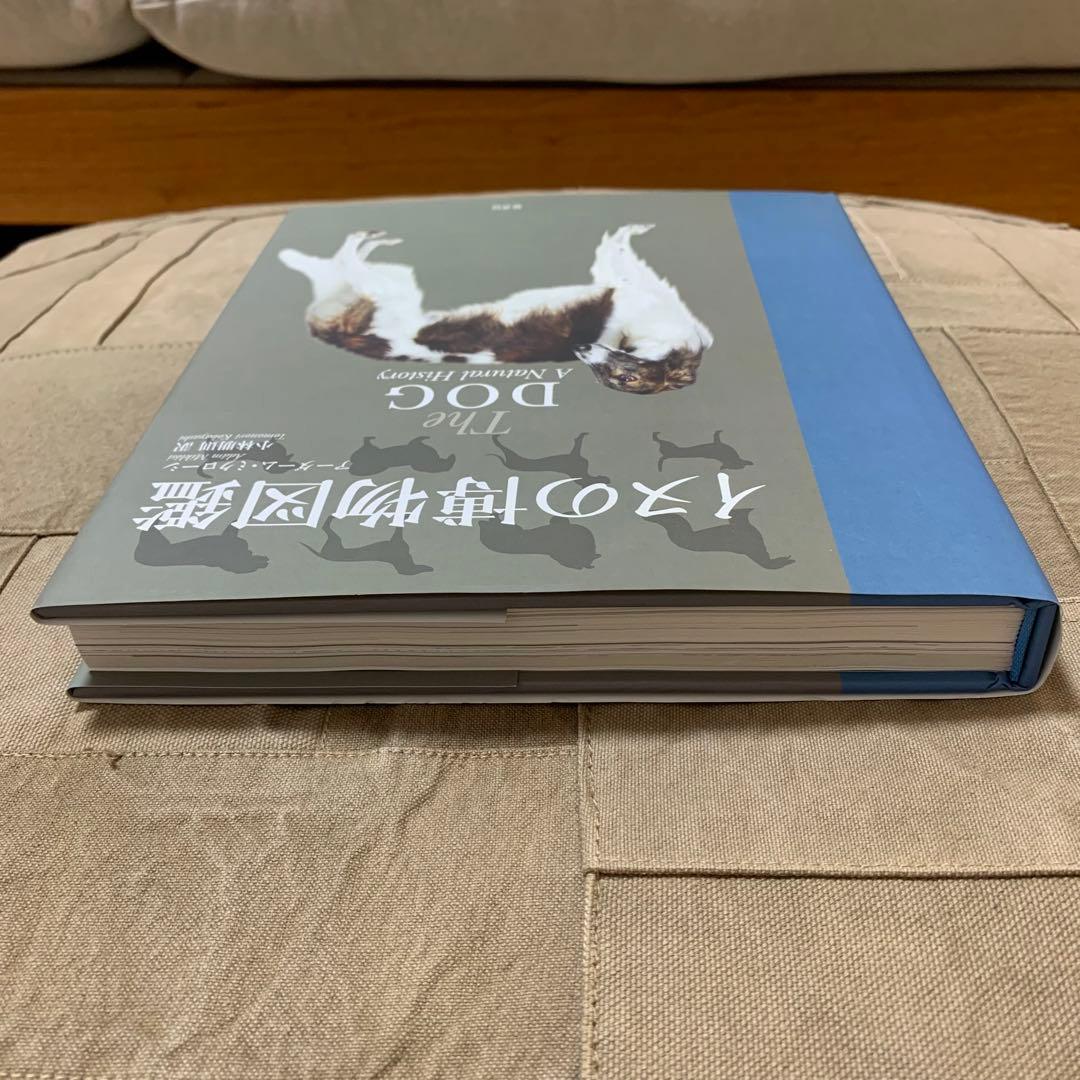 【希少！】イヌの博物図鑑／アーダーム・ミクローシ(著)
