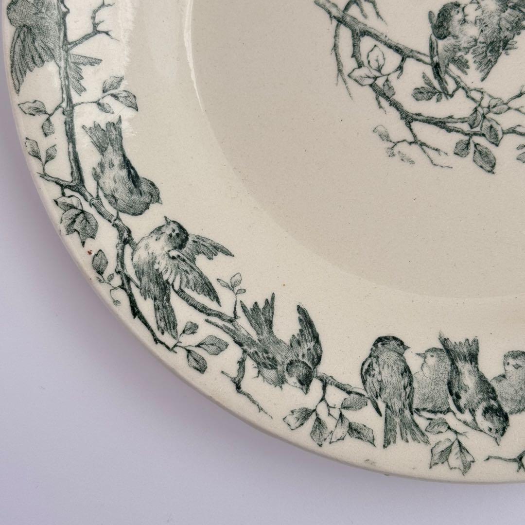 フランスアンティーク　Gien AVIARY ディナープレート