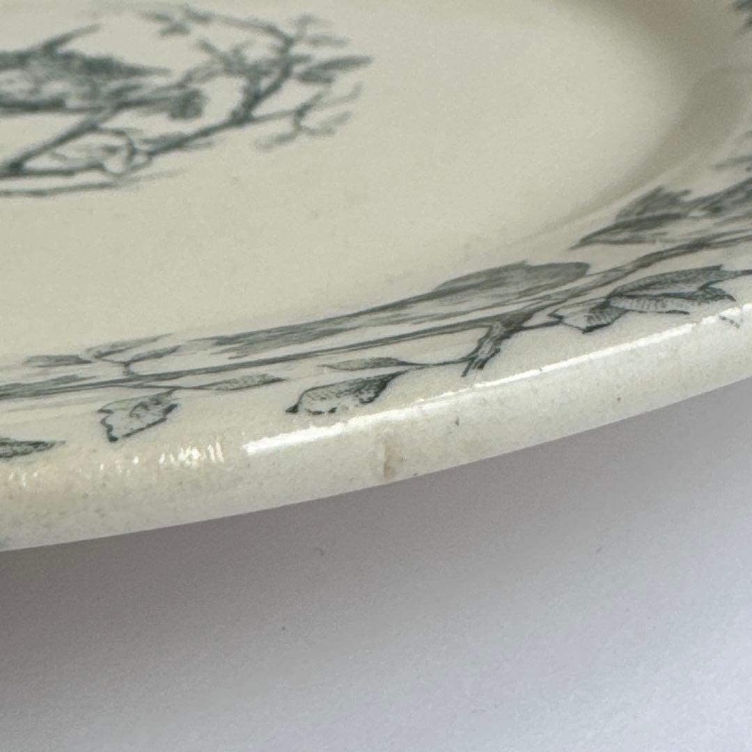 フランスアンティーク　Gien AVIARY ディナープレート