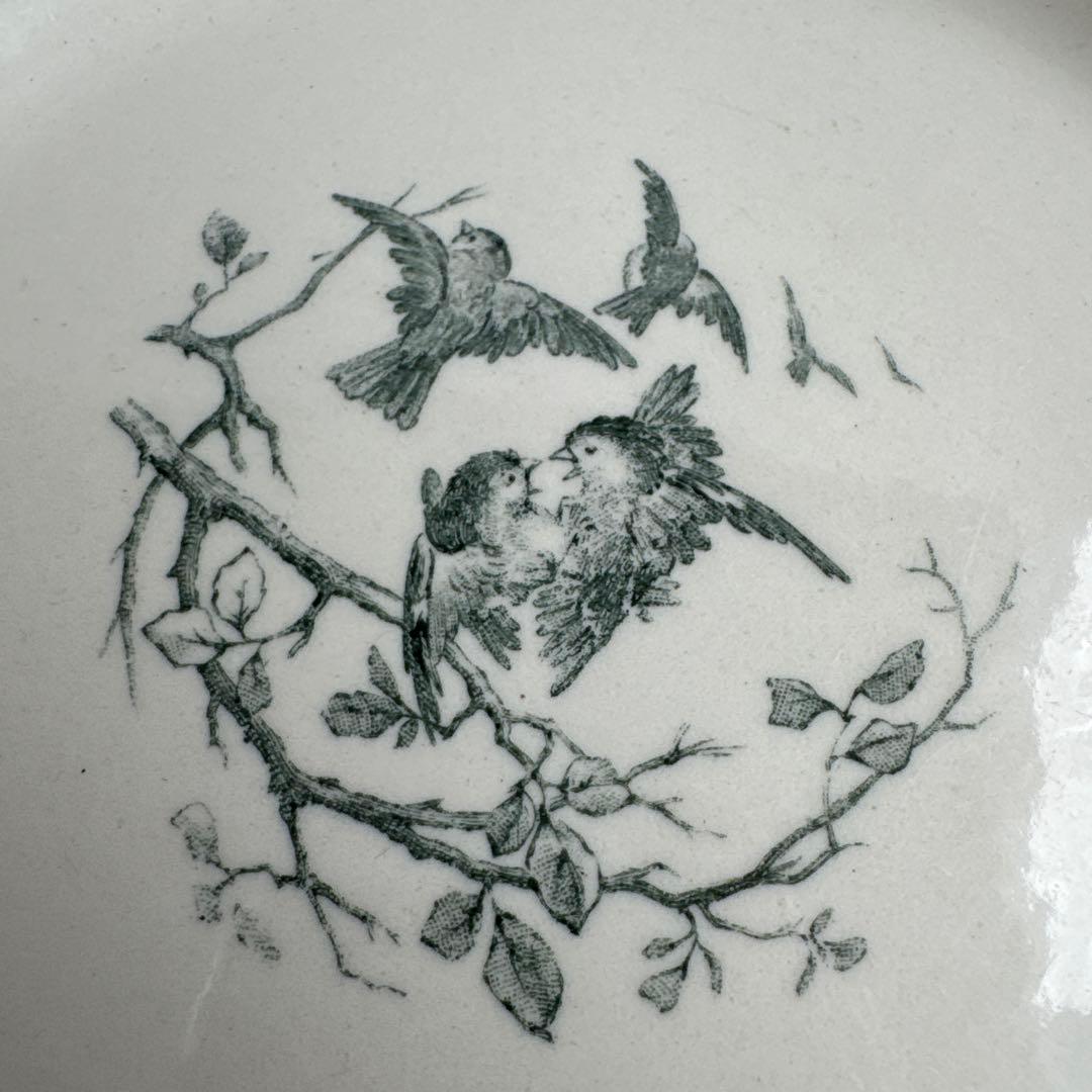 フランスアンティーク　Gien AVIARY ディナープレート