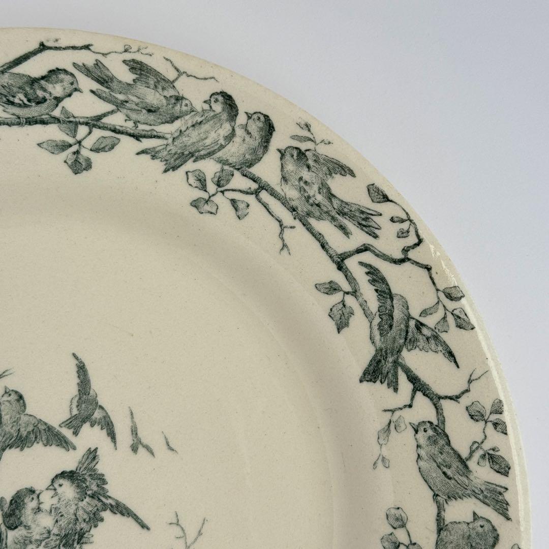 フランスアンティーク　Gien AVIARY ディナープレート