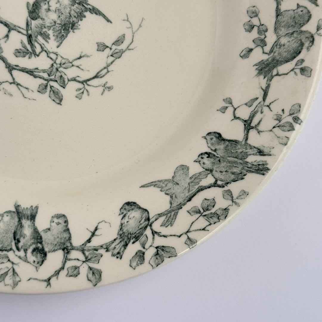 フランスアンティーク　Gien AVIARY ディナープレート