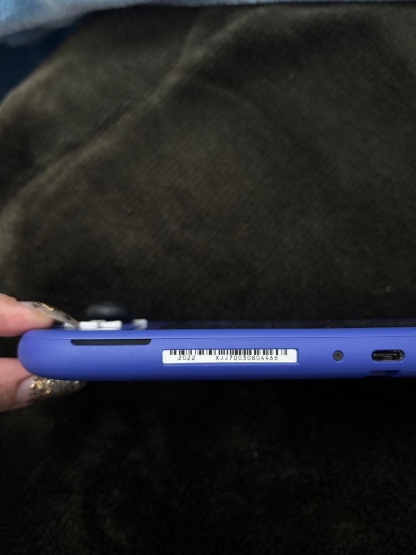 switch lite スイッチライト　本体　ブルー　ケース付き