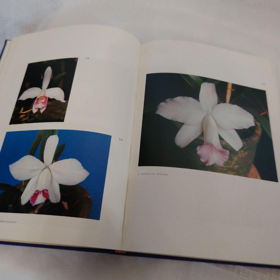 幻の本 ブラジルの野生らん