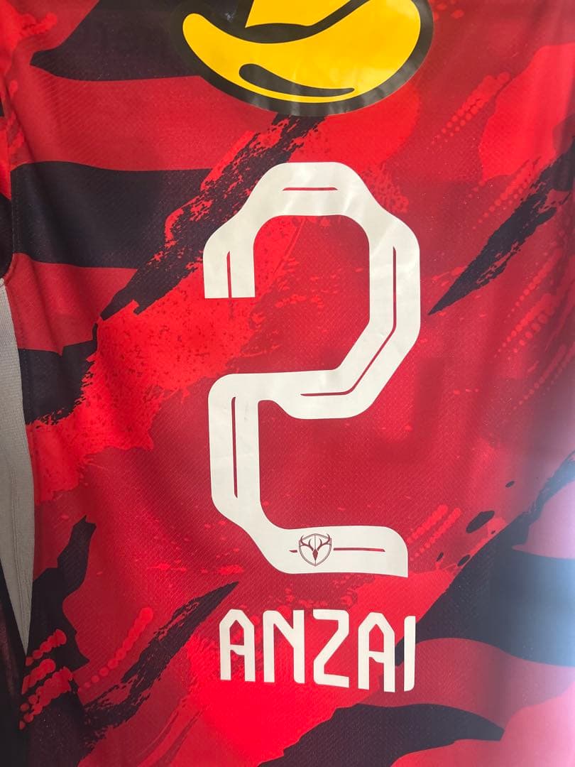 鹿島アントラーズ2025 ユニフォーム