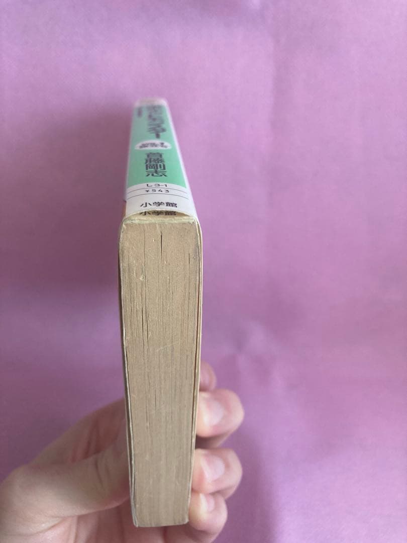 ポケットモンスター　The Animation vol.1 vol.2