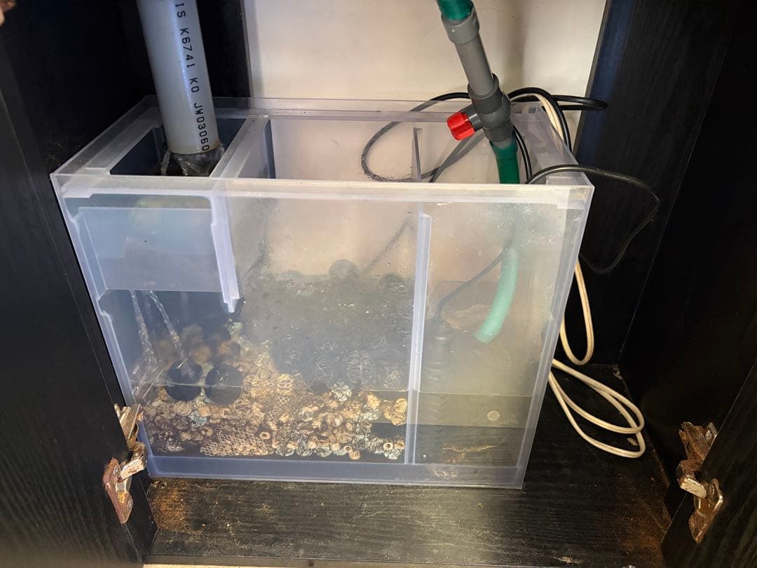 対面受け渡し限定‼️ オーバーフロー水槽　熱帯魚　濾過槽　ポンプ・流木・ろ材付き