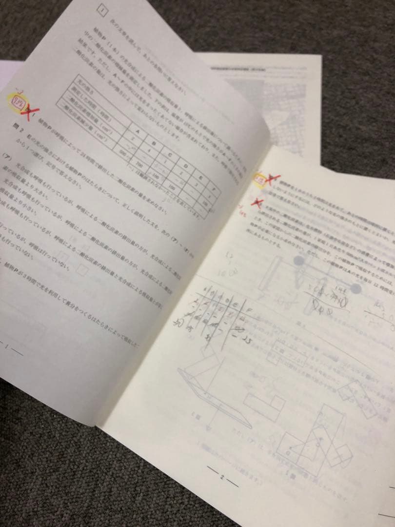 早稲田アカデミー　オープン模試/合格判定　早稲田実業中　計7回　2025年受験