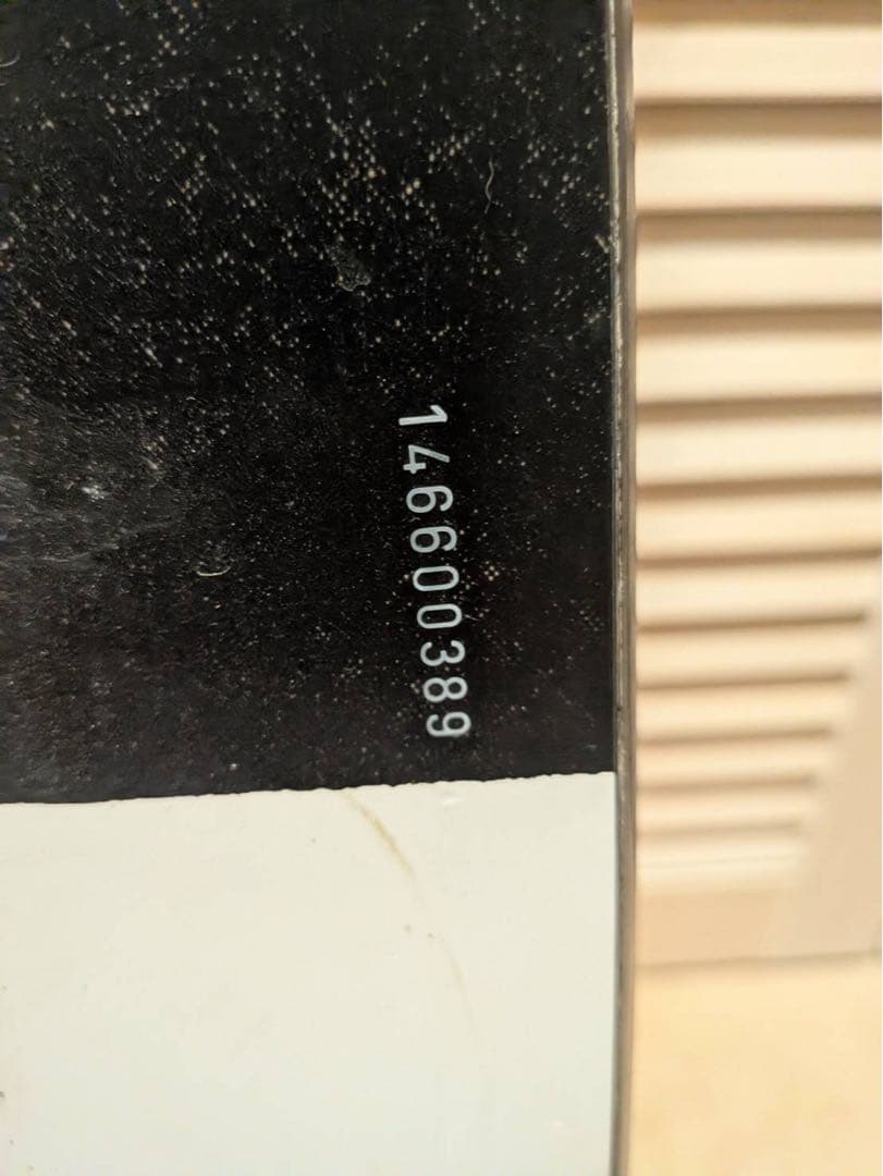 BURTON FAMILY TREE SPEED DATE 156W テリエ監修