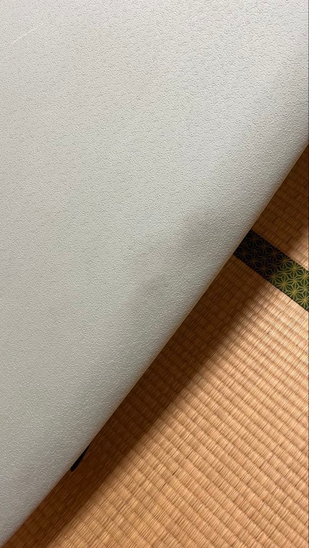 CRIME KEEL FISHサーフボード 6'0\" 美品