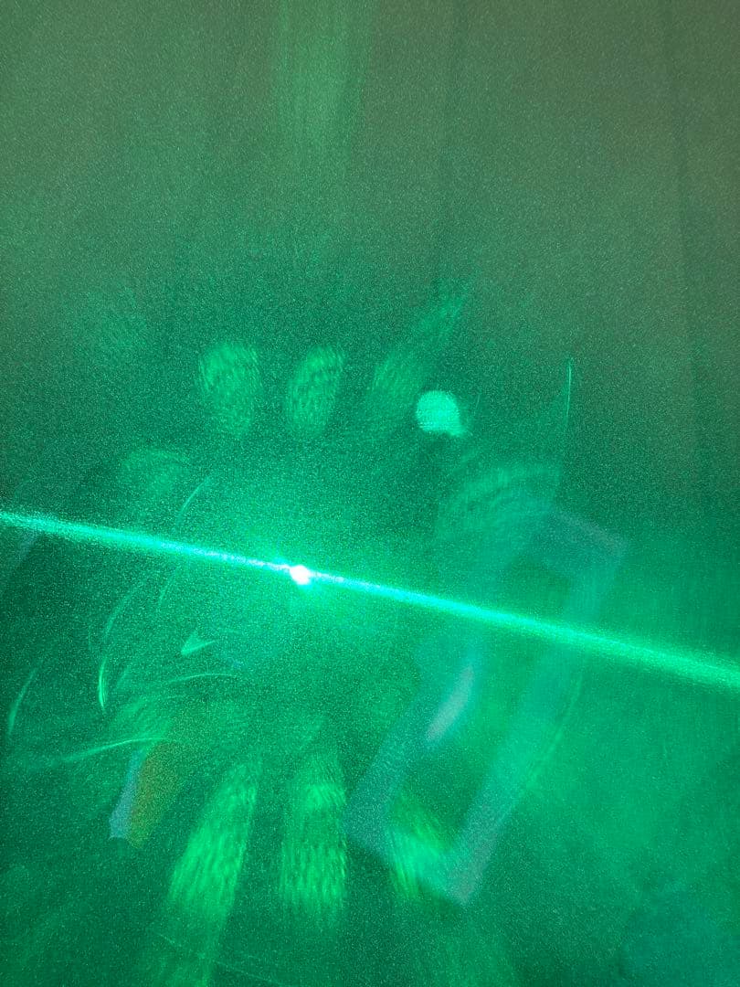 Olight Arkfeld pro LEDライト、レーザー、UVライト