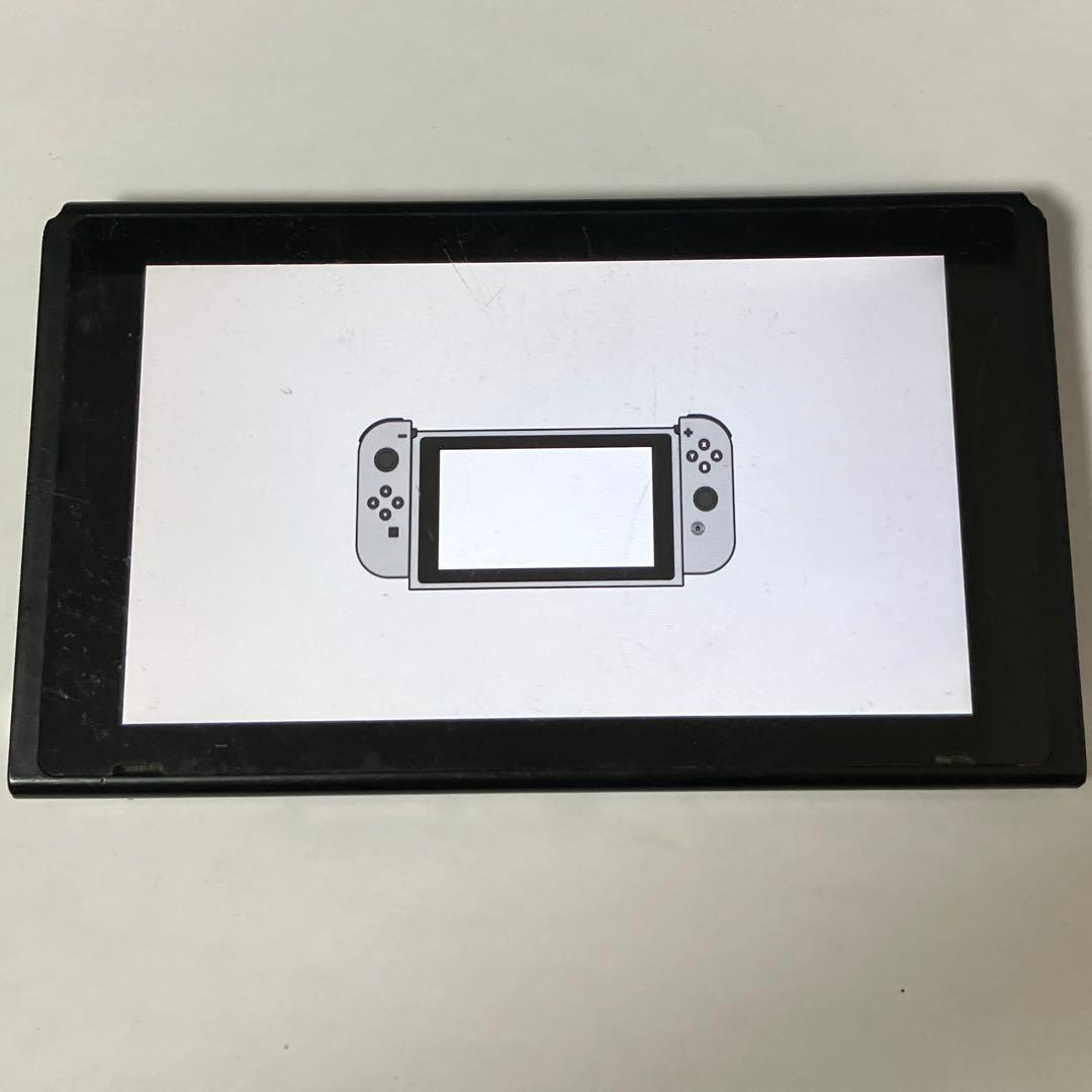 Switch本体 画面のみ