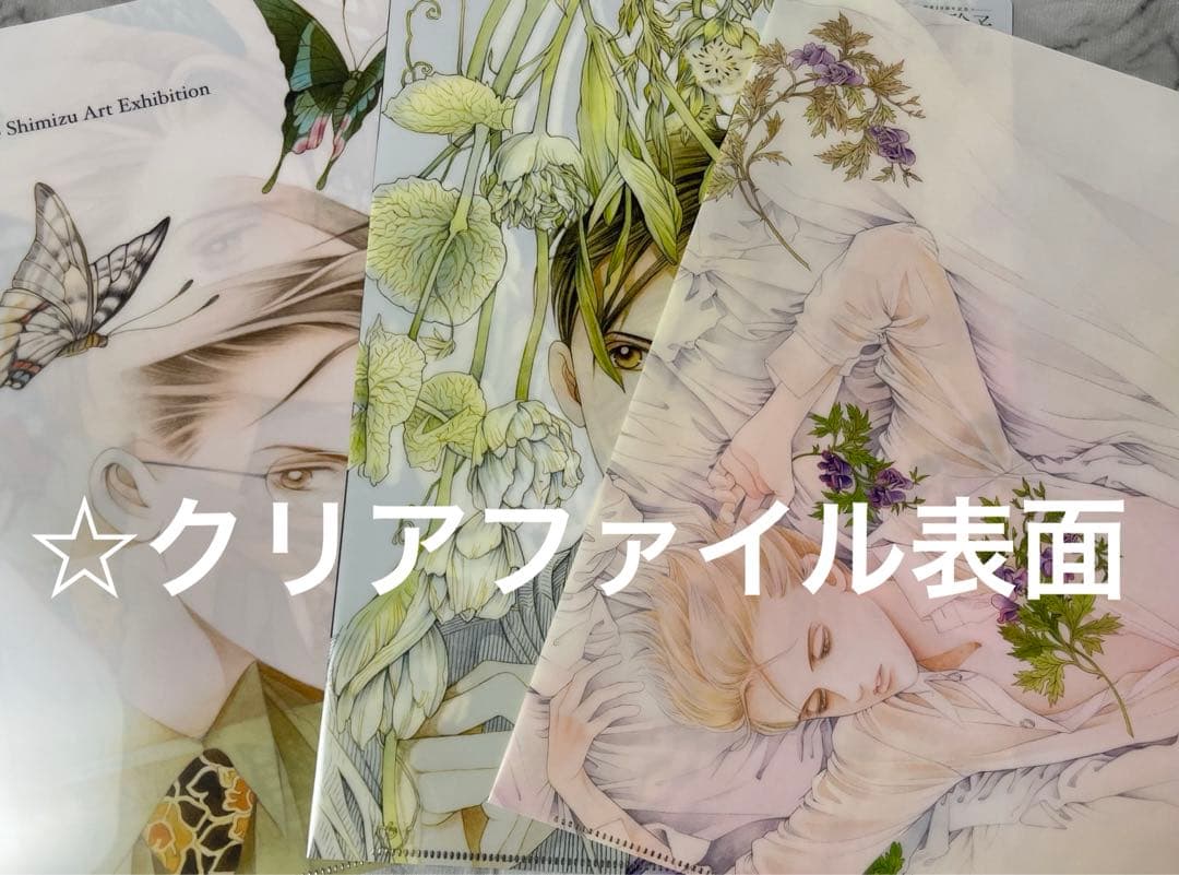 清水玲子　原画展　図録　イラスト集　クリアファイル　スカーフ