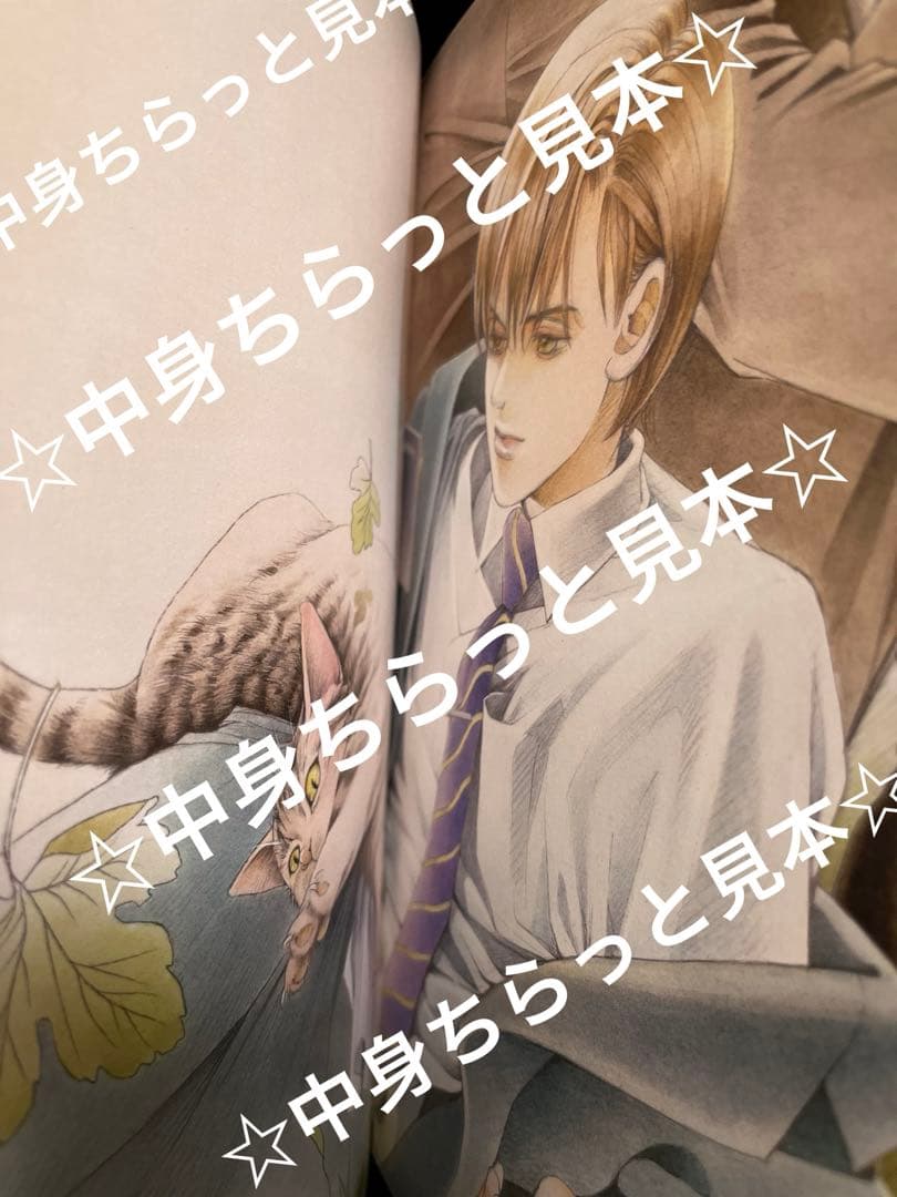 清水玲子　原画展　図録　イラスト集　クリアファイル　スカーフ