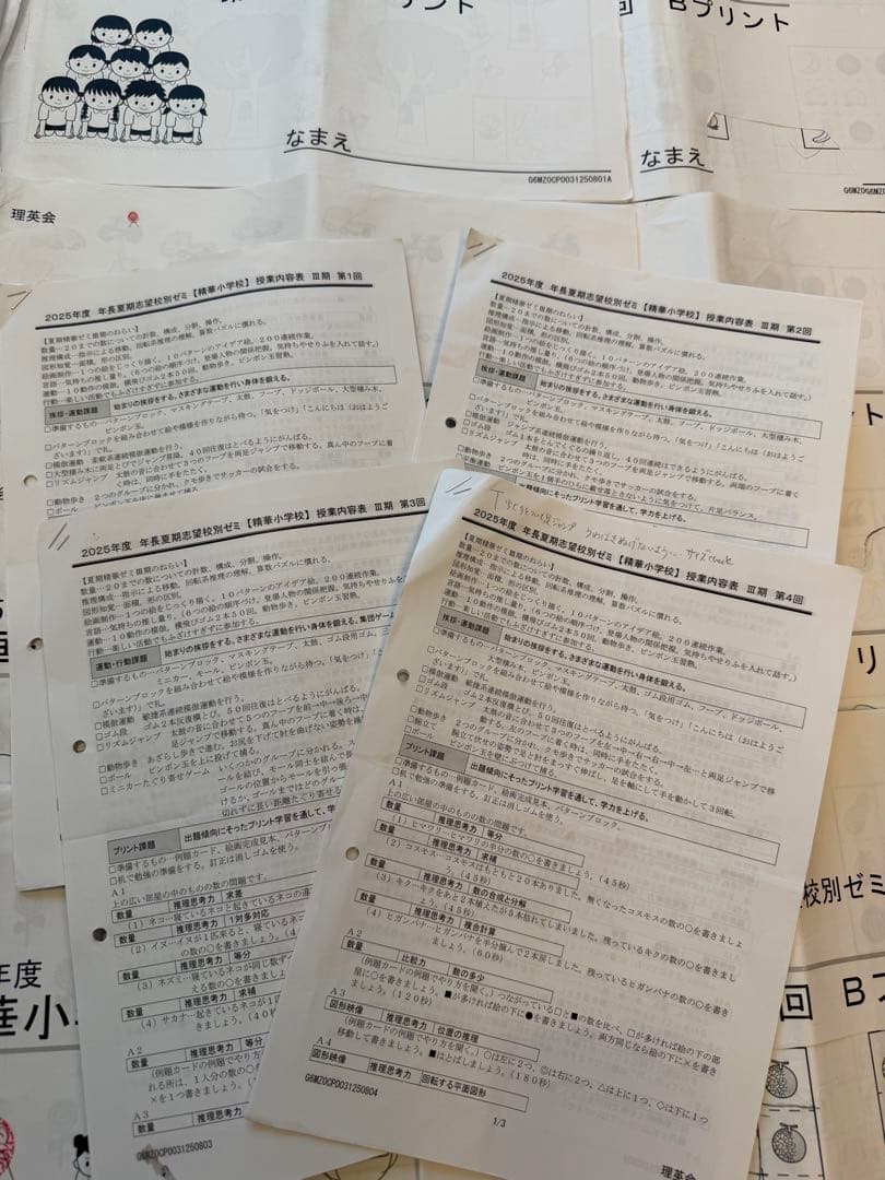 （イチゴラバー）精華ゼミ年長7月、夏期講習、秋季講習