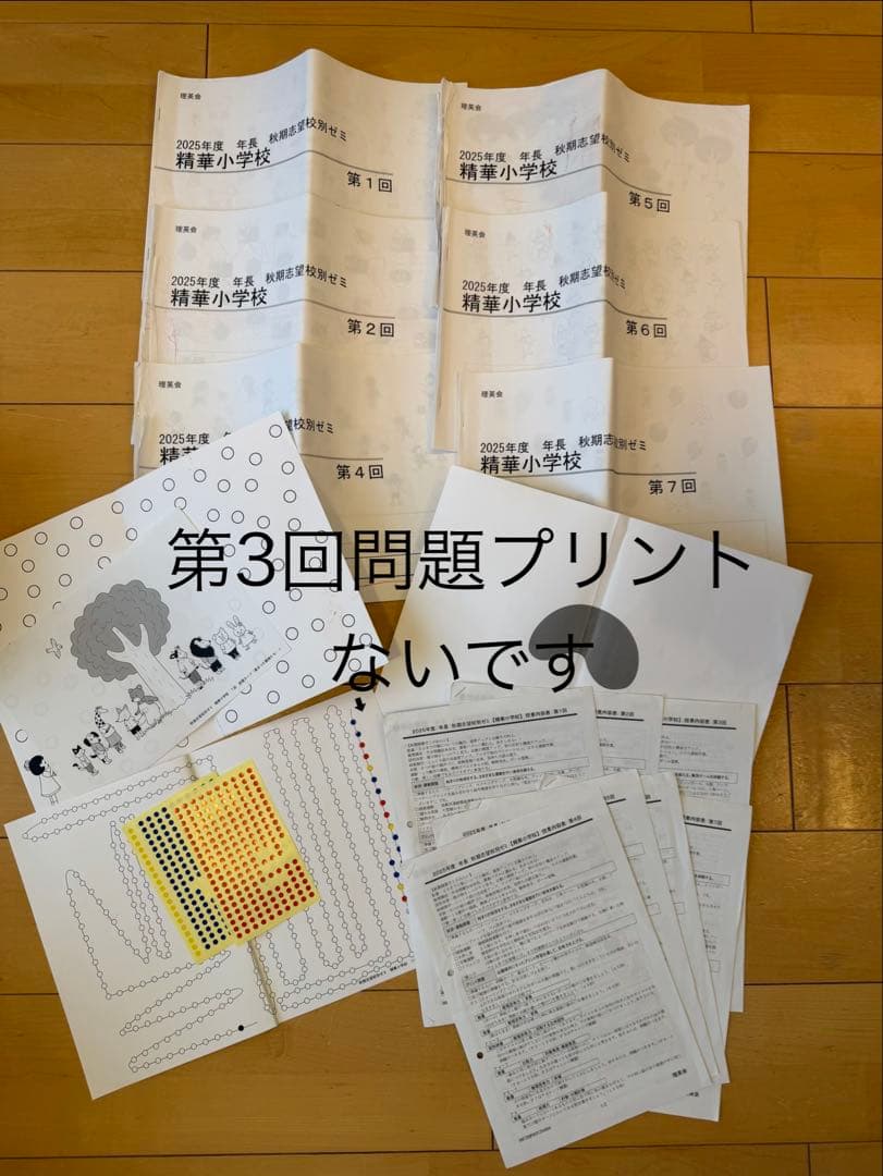 （イチゴラバー）精華ゼミ年長7月、夏期講習、秋季講習