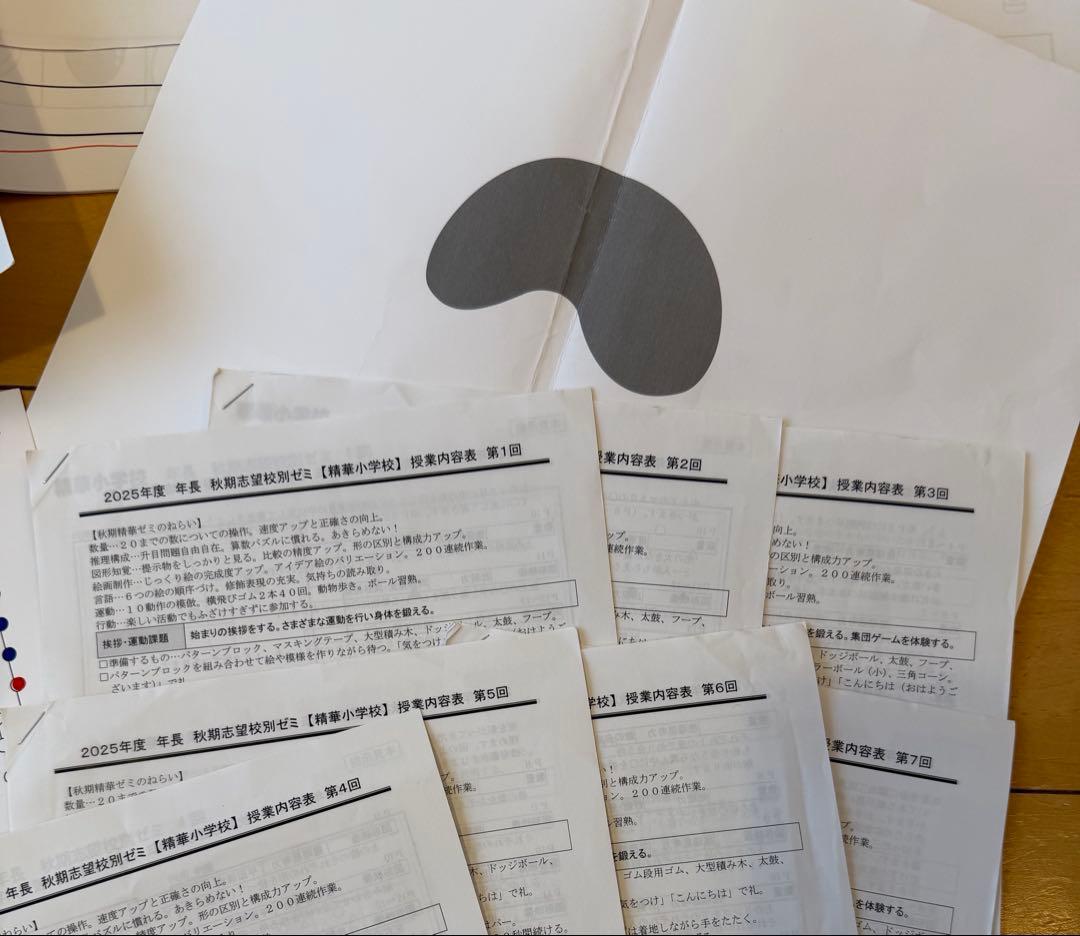 （イチゴラバー）精華ゼミ年長7月、夏期講習、秋季講習