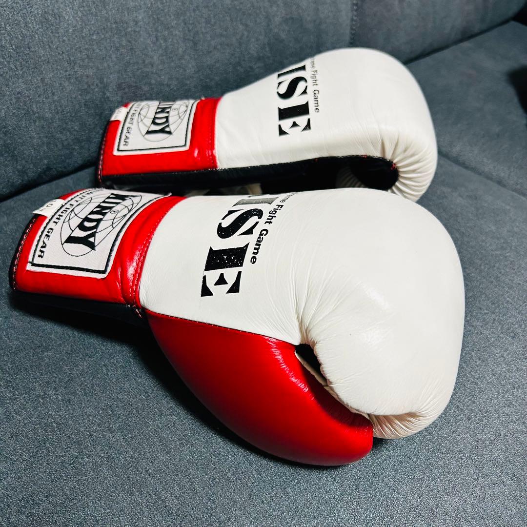 RISE ボクシンググローブ 10oz (美品)