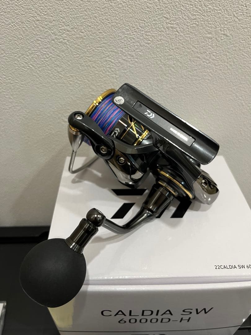 Daiwa CALDIA SW 6000D-H スピニングリール