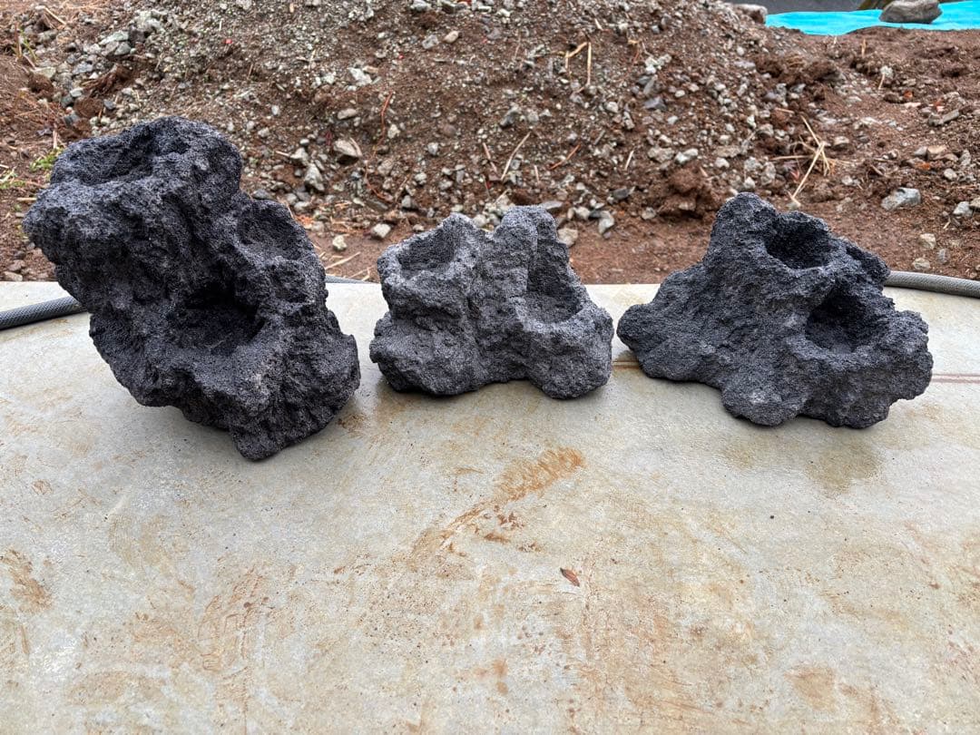 ADA 雲山石　セット　良形