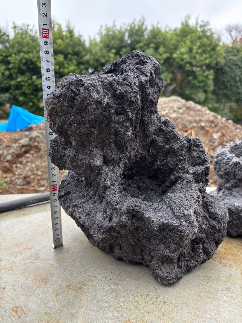 ADA 雲山石　セット　良形