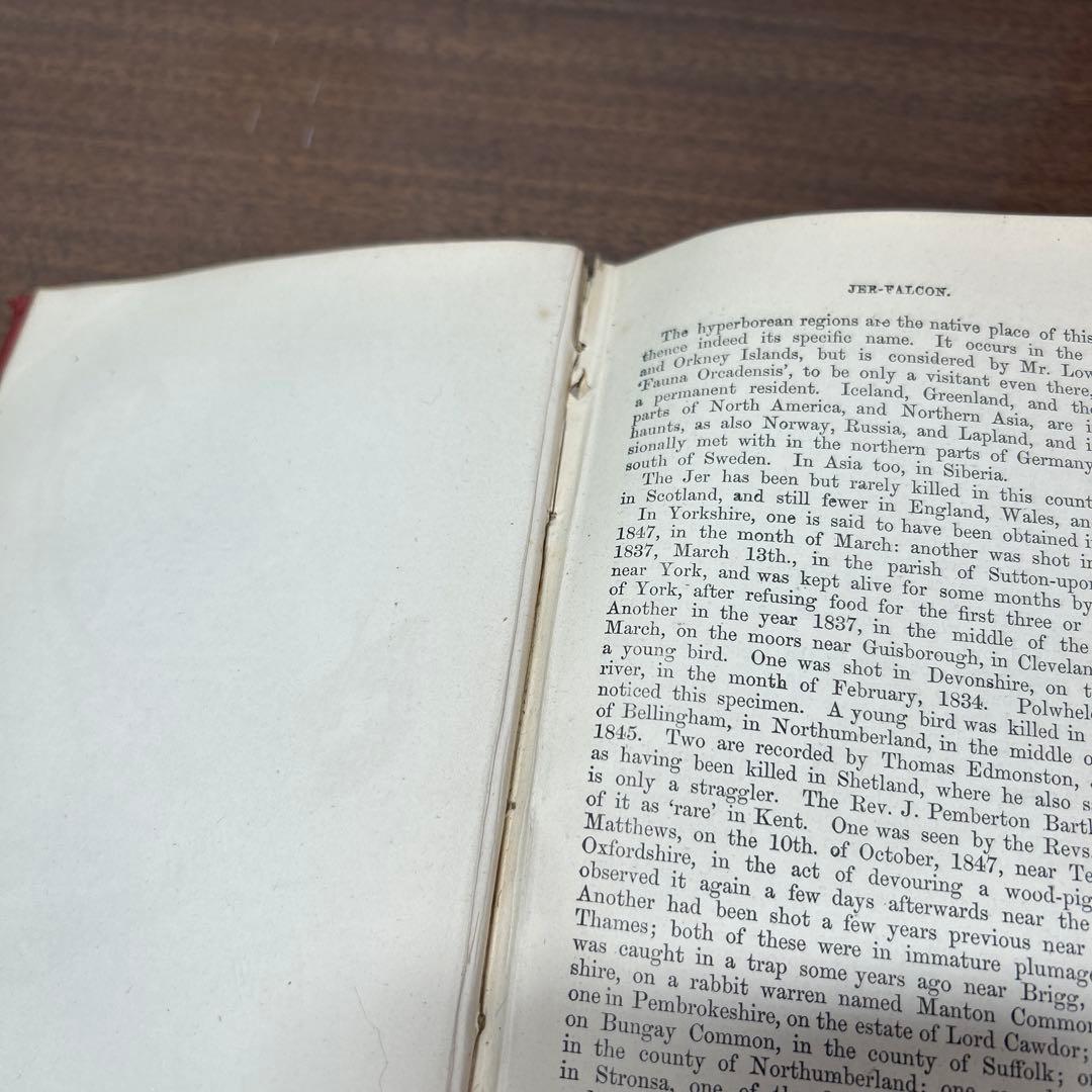 ア*リ様 ★英国鳥類図鑑 モリス A History of British Bi