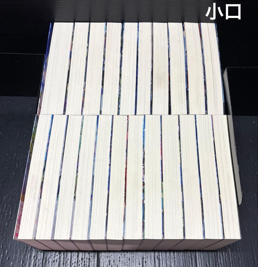 賢者の弟子を名乗る賢者 1-22巻