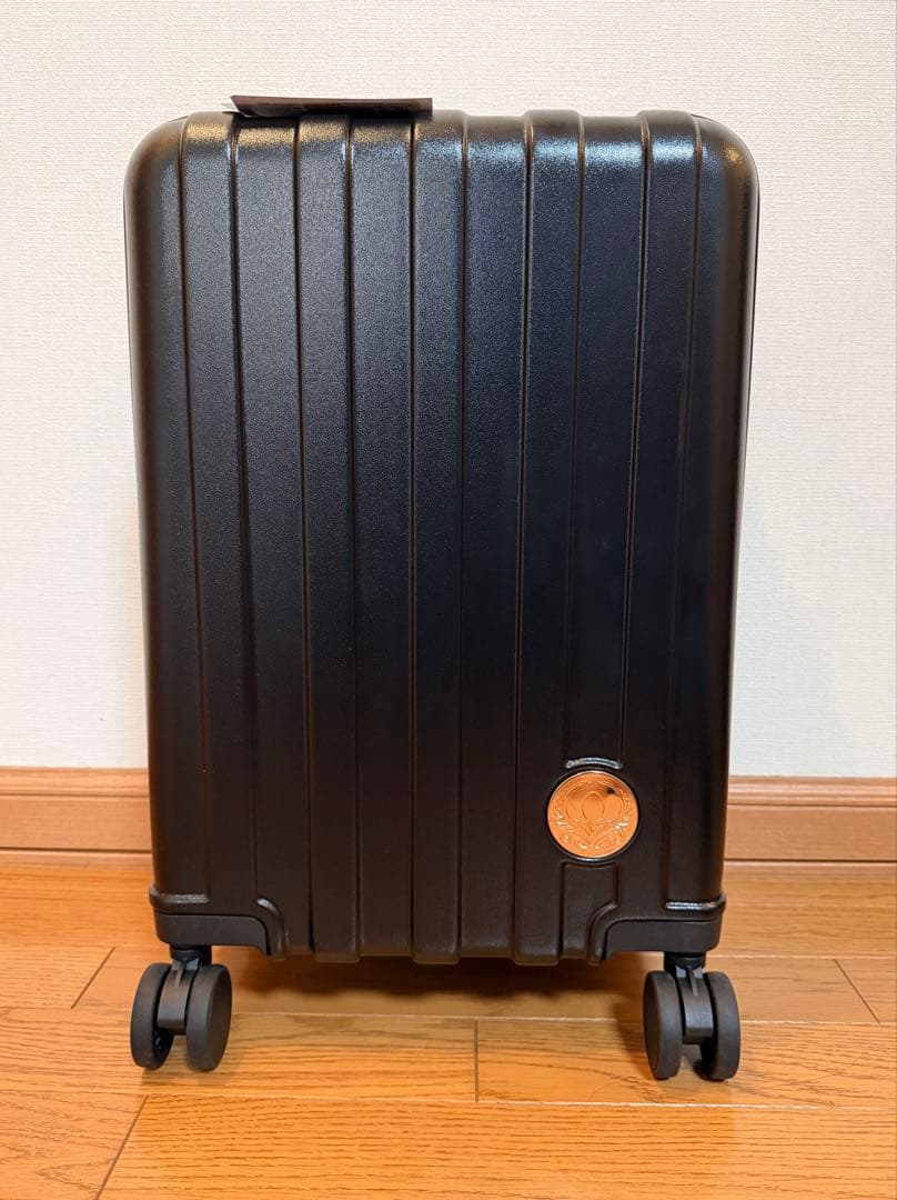 ちはるさんコラボ　アナ雪　アナ　キャリーケース　キャリーバッグ　しまむら