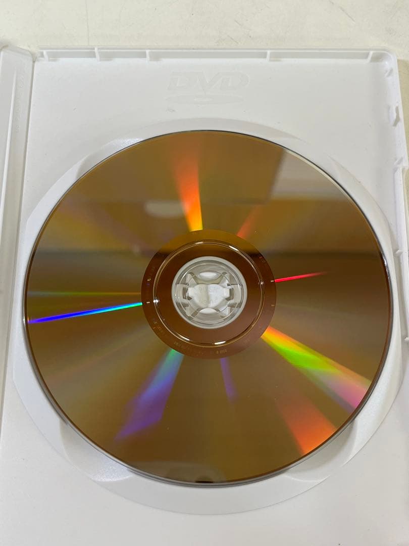 G475 夕やけニャンニャン おニャン子白書 棚卸し'85総決算