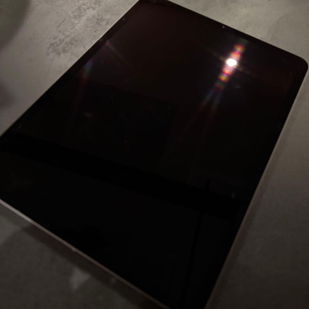 櫻*雨様 【ジャンク品】 iPad Pro 11インチ