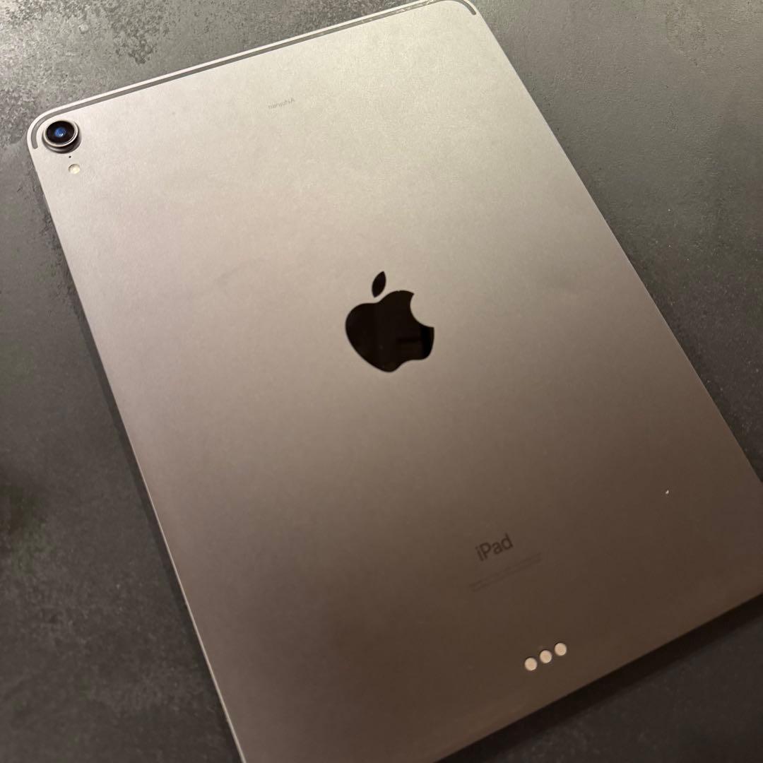 櫻*雨様 【ジャンク品】 iPad Pro 11インチ