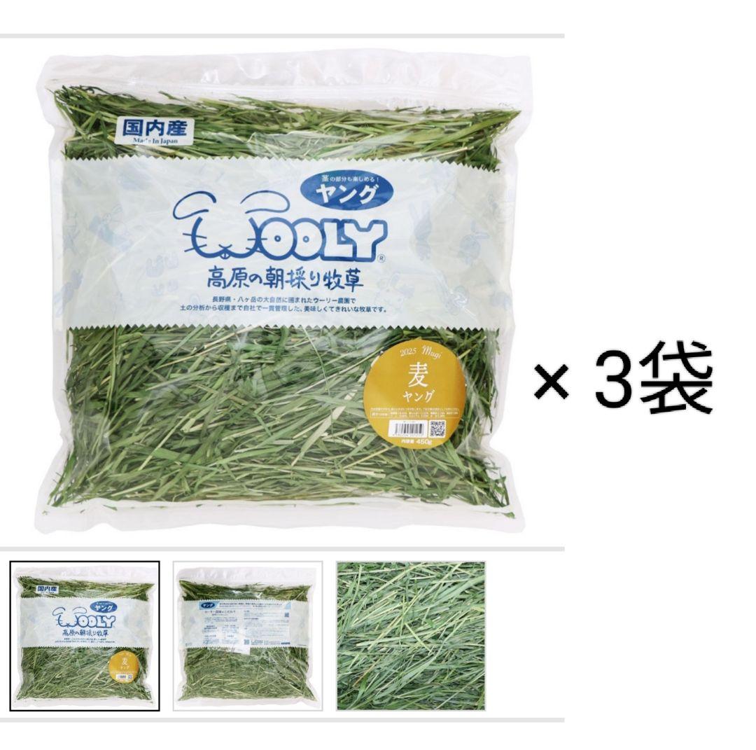 麦ヤング 2025 高原の朝採り牧草 3袋セット