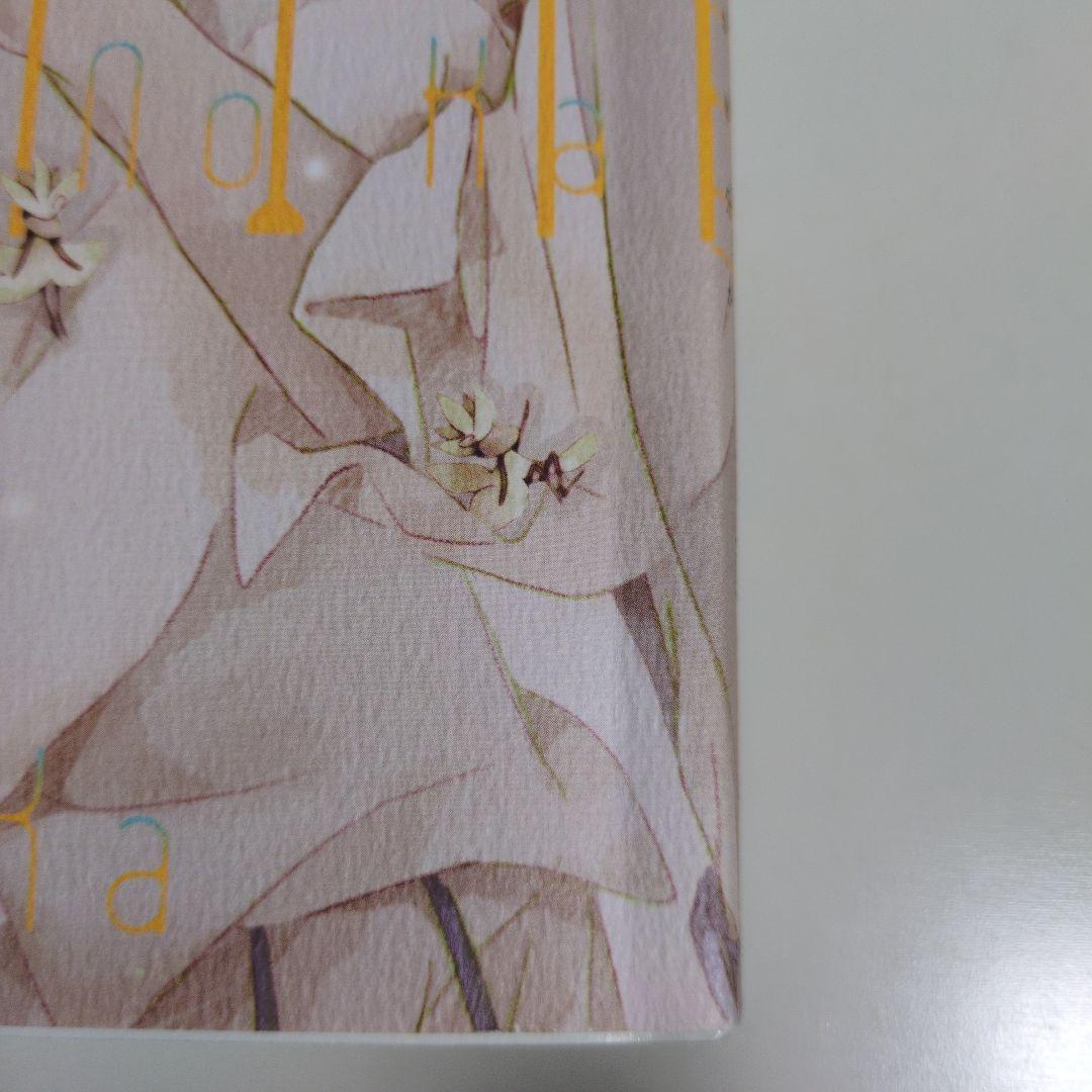 イエスかノーか半分か 11冊セット