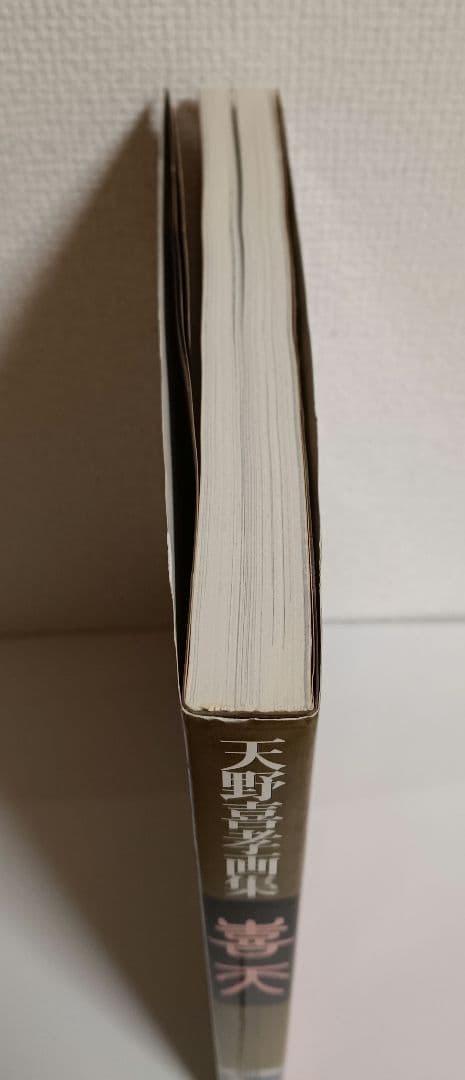 天野喜孝画集 喜天