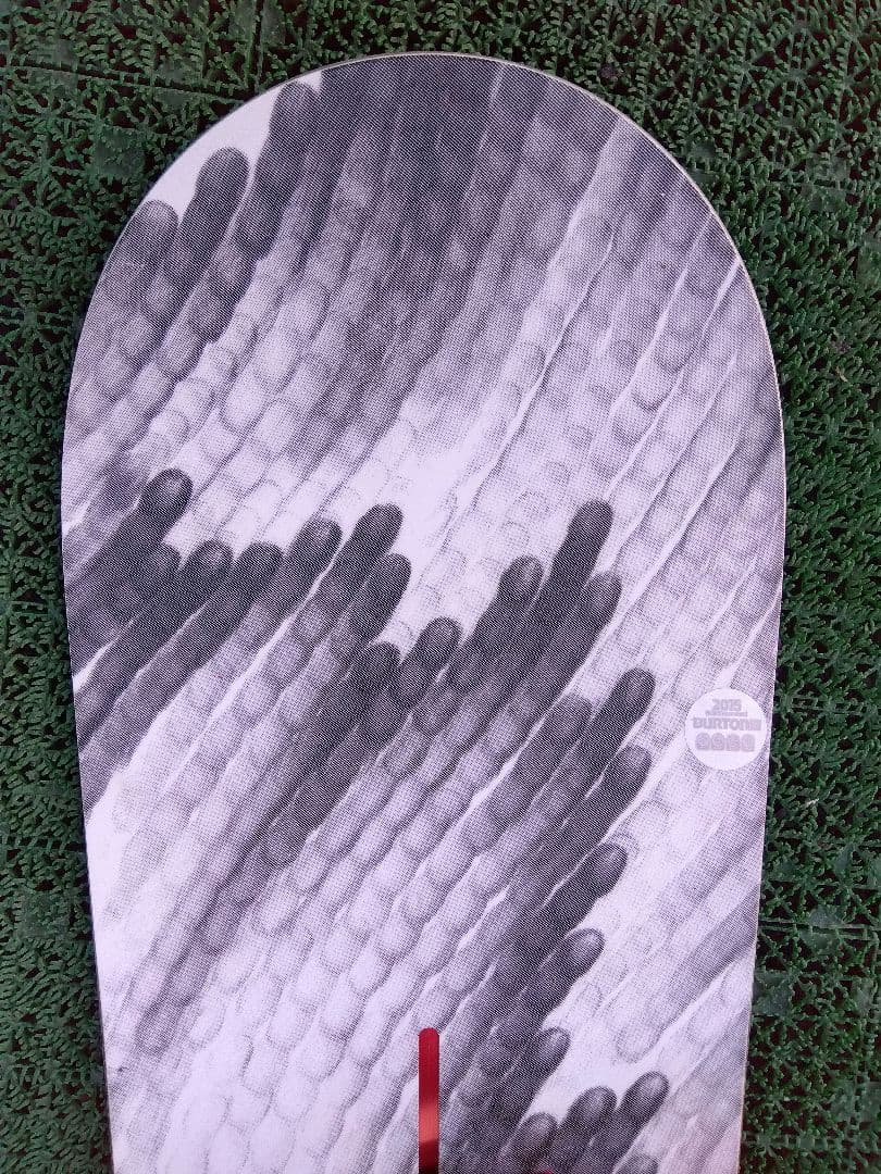 ゆーちゃんちゃん✨