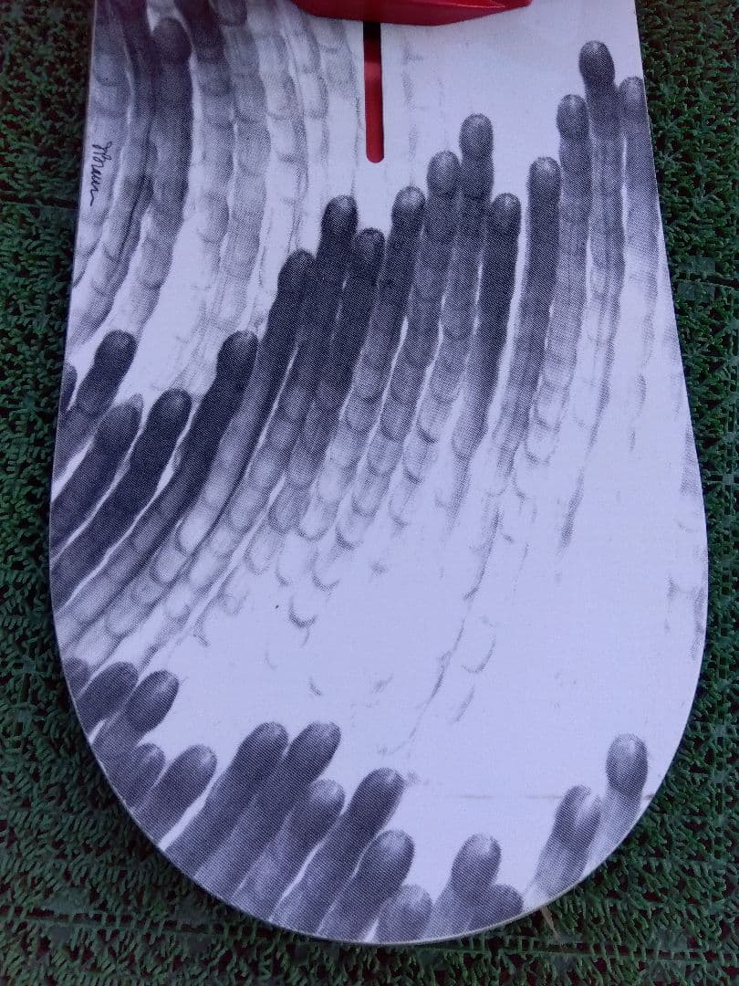 ゆーちゃんちゃん✨